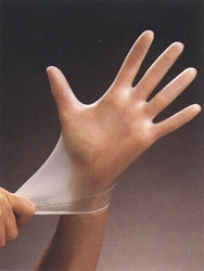 Vinyl Powder-Free Large Gloves - 1 Case (10 Boxes of 100)